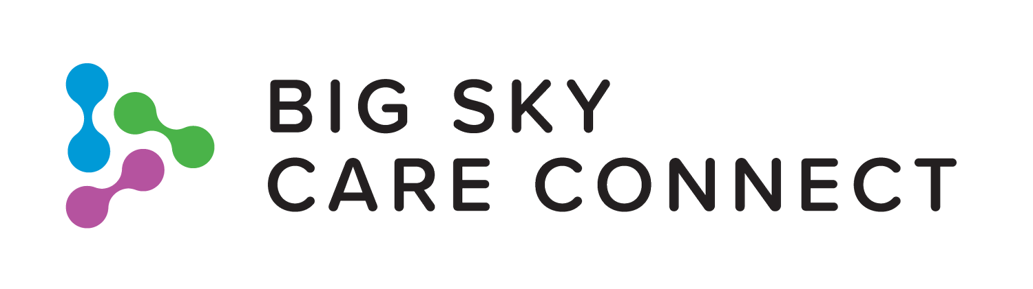 Big Sky Care Connect - VP Program & Operations